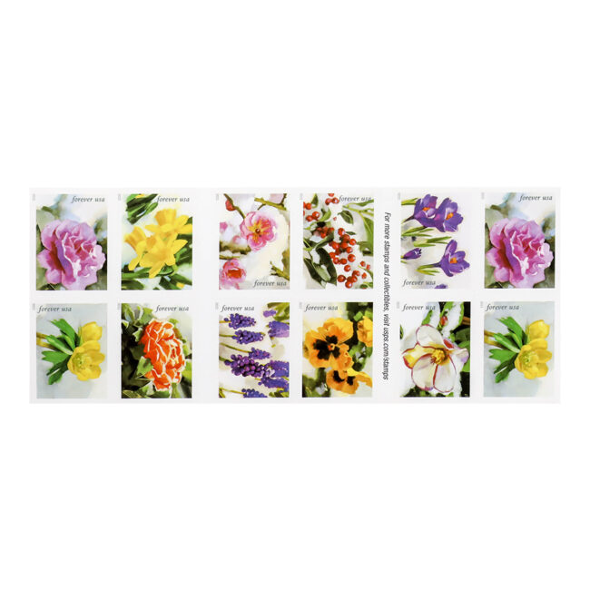 2022 First-Class Forever Stamp - Snowy Beauty: Winter Aconite - Image 2