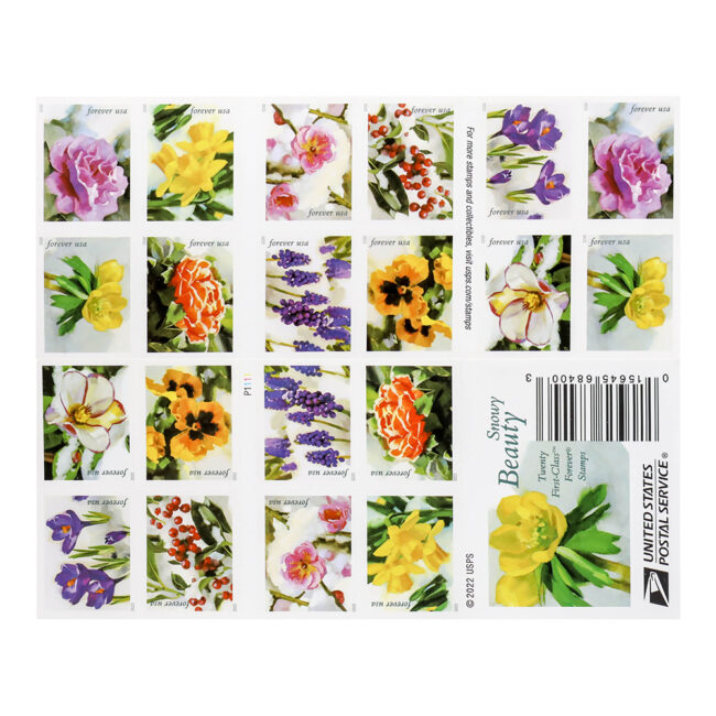 2022 First-Class Forever Stamp - Snowy Beauty: Winter Aconite - Image 3