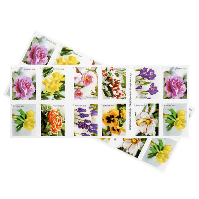 2022 First-Class Forever Stamp - Snowy Beauty: Winter Aconite - Image 4