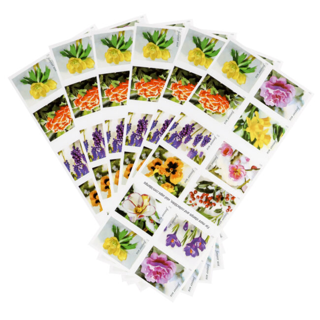 2022 First-Class Forever Stamp - Snowy Beauty: Winter Aconite - Image 5