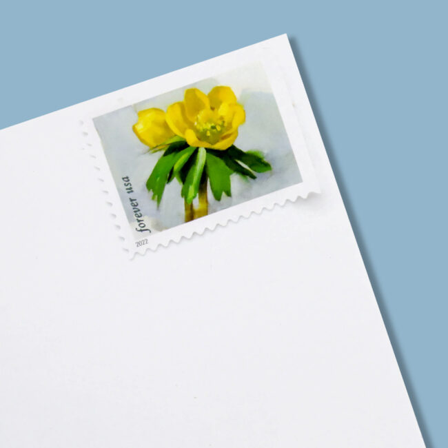 2022 First-Class Forever Stamp - Snowy Beauty: Winter Aconite - Image 6