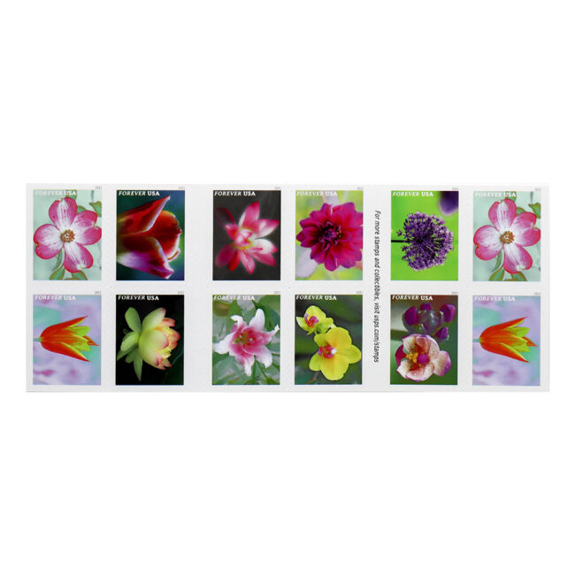 2021 U.S. Garden Beauty Forever Postage Stamps - Image 2