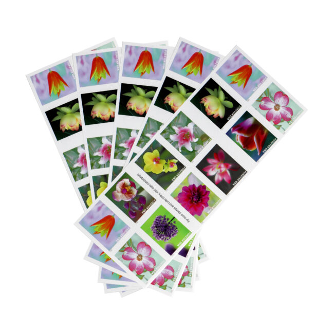 2021 U.S. Garden Beauty Forever Postage Stamps - Image 5