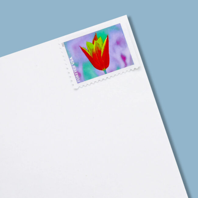 2021 U.S. Garden Beauty Forever Postage Stamps - Image 6