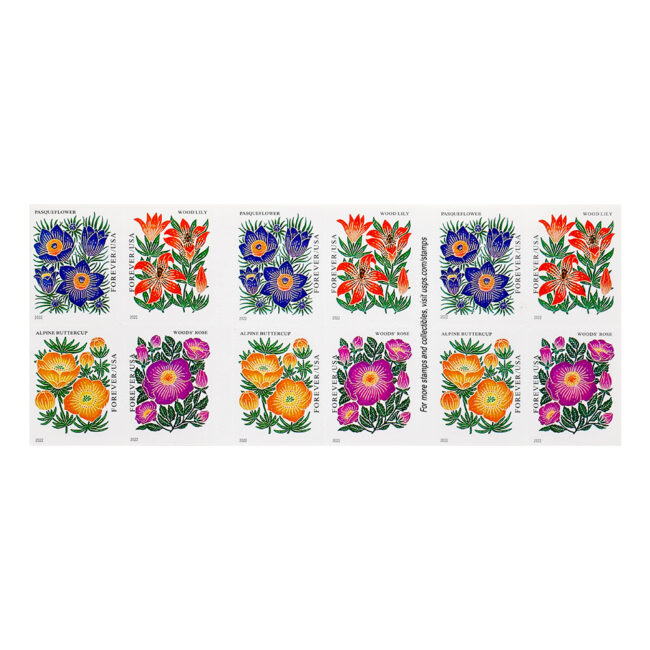 2022 US Mountain Flora Forever Stamps - Image 2