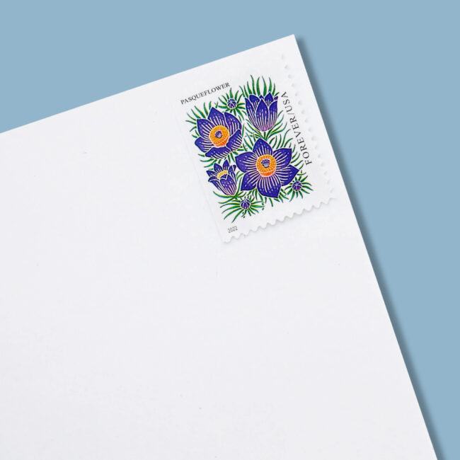 2022 US Mountain Flora Forever Stamps - Image 6