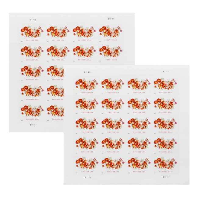 2022 US Forever First-Class Postage Tulips Stamps - Image 4