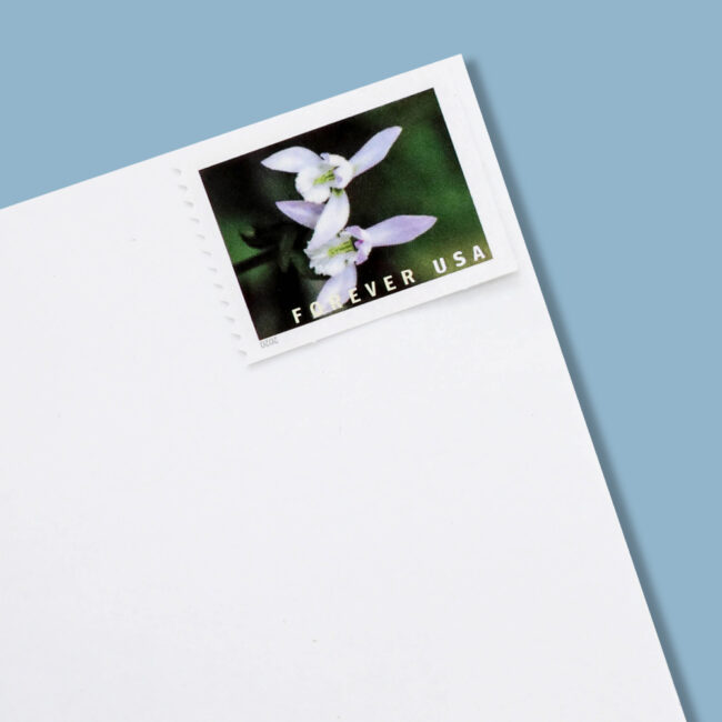 U.S. 2021 Wild Orchids Framed Forever Stamps - Image 2