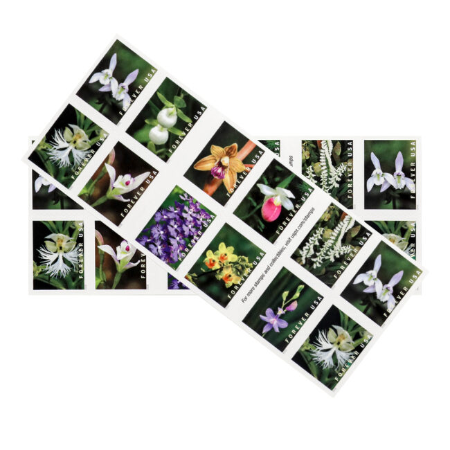 U.S. 2021 Wild Orchids Framed Forever Stamps - Image 4