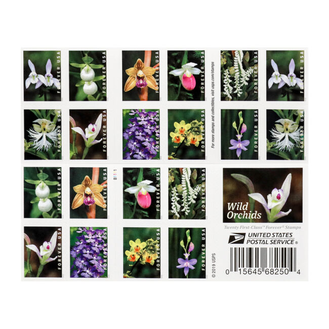 U.S. 2021 Wild Orchids Framed Forever Stamps - Image 5