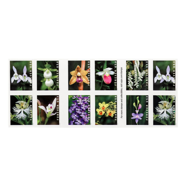 U.S. 2021 Wild Orchids Framed Forever Stamps - Image 6