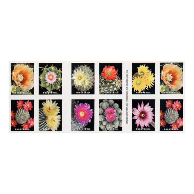 U.S. 2019 Cactus Forever Stamps - Image 2