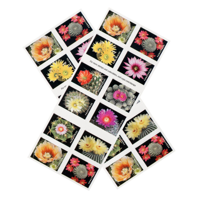 U.S. 2019 Cactus Forever Stamps - Image 4