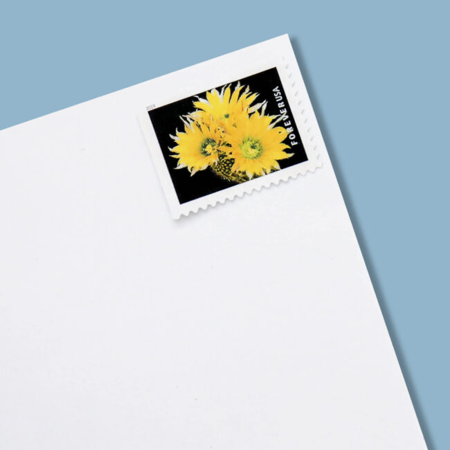 U.S. 2019 Cactus Forever Stamps - Image 6