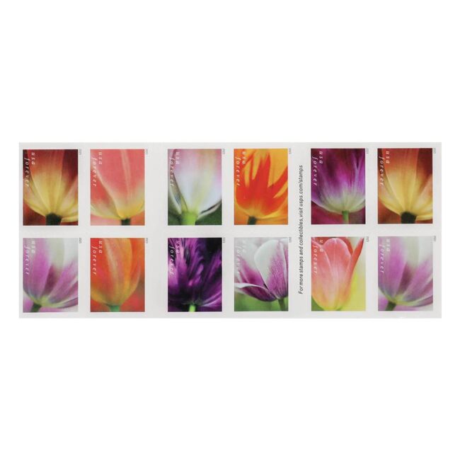 2023 US First-Class Forever Stamps - Tulip Blossoms booklet - Image 2