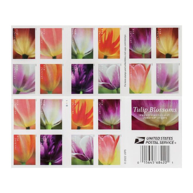 2023 US First-Class Forever Stamps - Tulip Blossoms booklet - Image 3