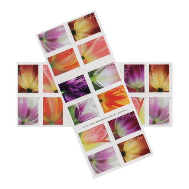 2023 US First-Class Forever Stamps - Tulip Blossoms booklet - Image 4