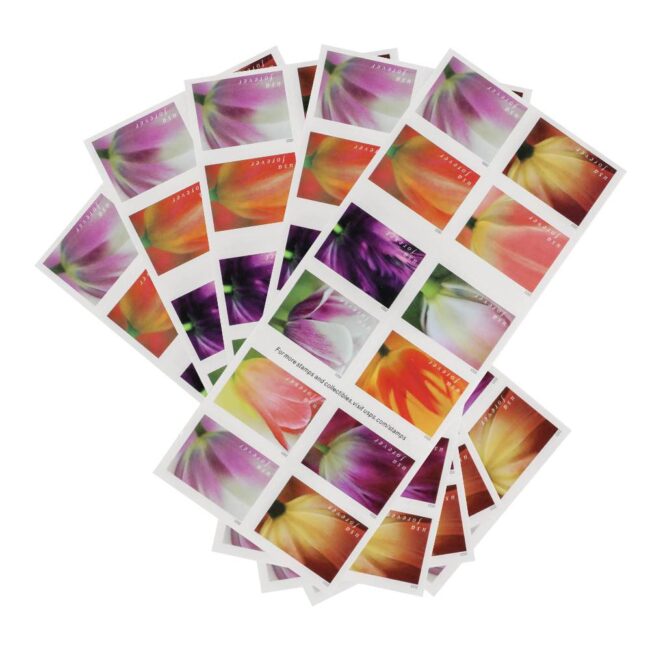 2023 US First-Class Forever Stamps - Tulip Blossoms booklet - Image 5