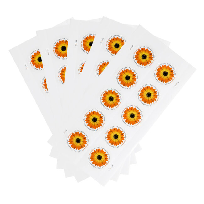 2022 US Global African Daisy Forever Stamps - Image 5