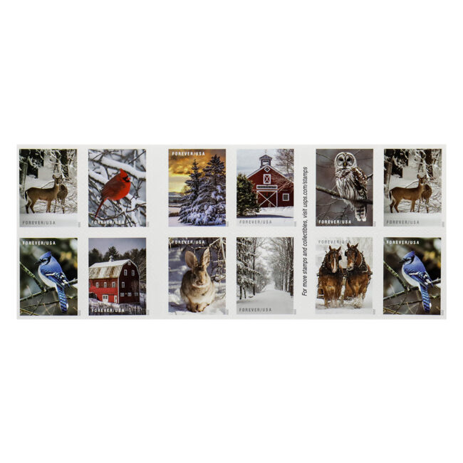 2020 US 'Winter Scenes' Forever Postage Stamps - Image 2