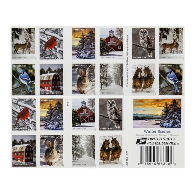 2020 US 'Winter Scenes' Forever Postage Stamps - Image 3