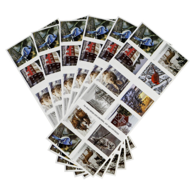 2020 US 'Winter Scenes' Forever Postage Stamps - Image 5