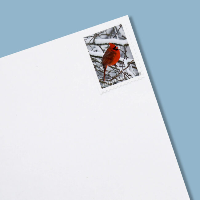2020 US 'Winter Scenes' Forever Postage Stamps - Image 6