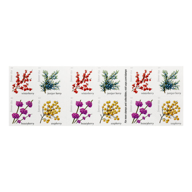 2019 US Winter Berries Forever Stamps - Image 2