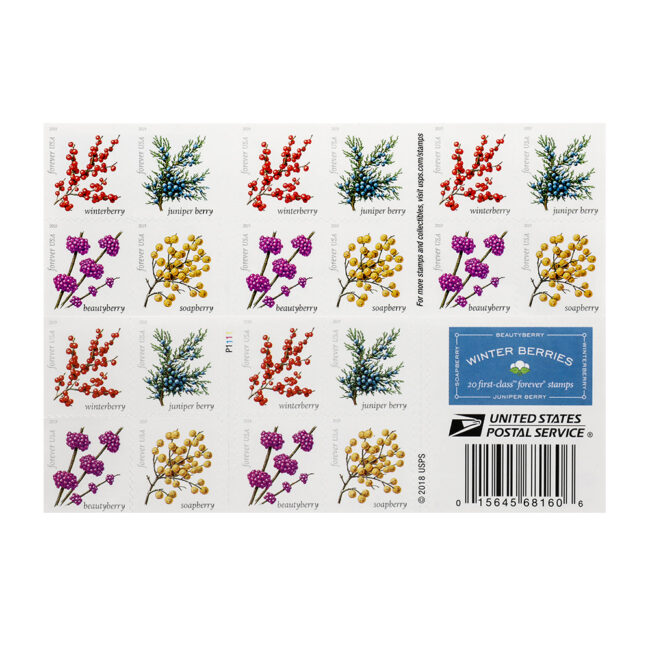 2019 US Winter Berries Forever Stamps - Image 3