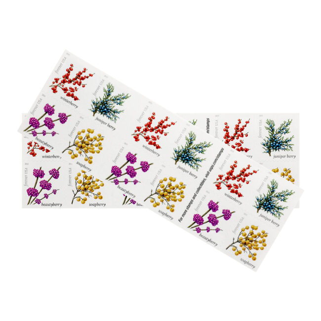2019 US Winter Berries Forever Stamps - Image 4