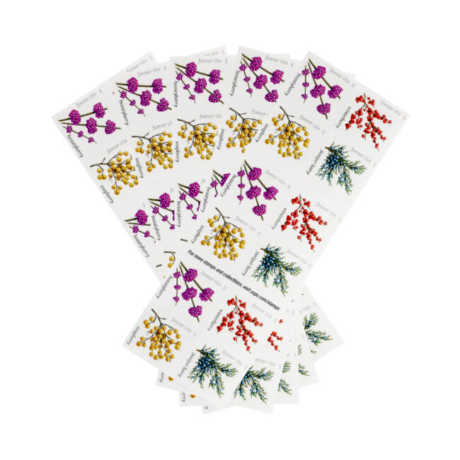 2019 US Winter Berries Forever Stamps - Image 5