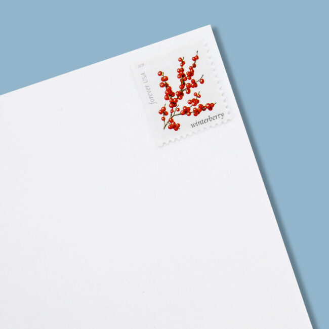 2019 US Winter Berries Forever Stamps - Image 6