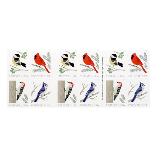 2018 US First-Class Forever Stamp - Birds in Winter - Image 2