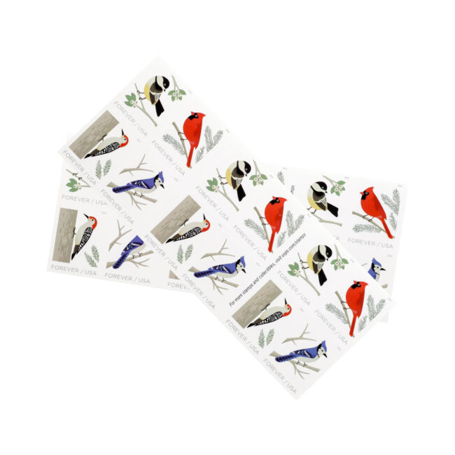 2018 US First-Class Forever Stamp - Birds in Winter - Image 4