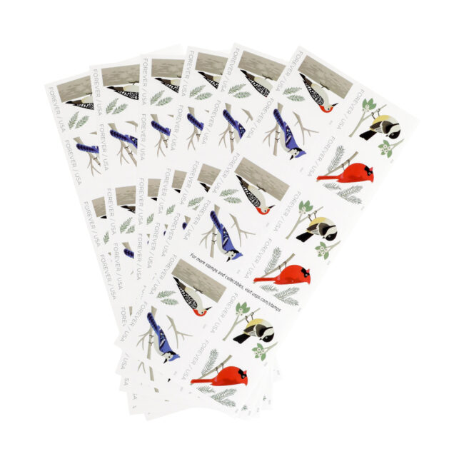 2018 US First-Class Forever Stamp - Birds in Winter - Image 5