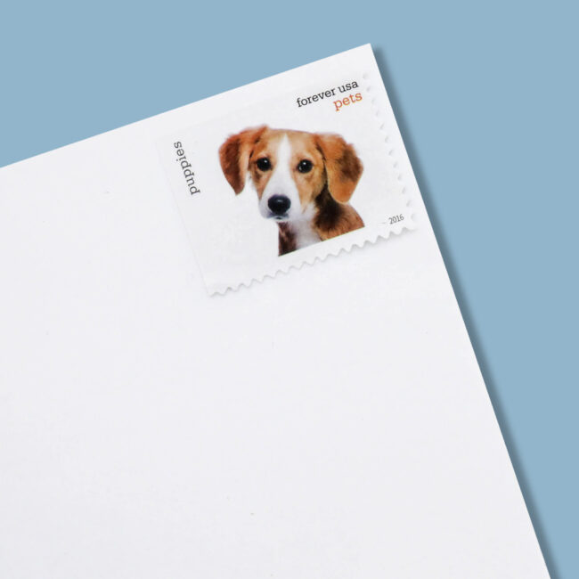 2016 US Pets Forever Stamps - Image 6